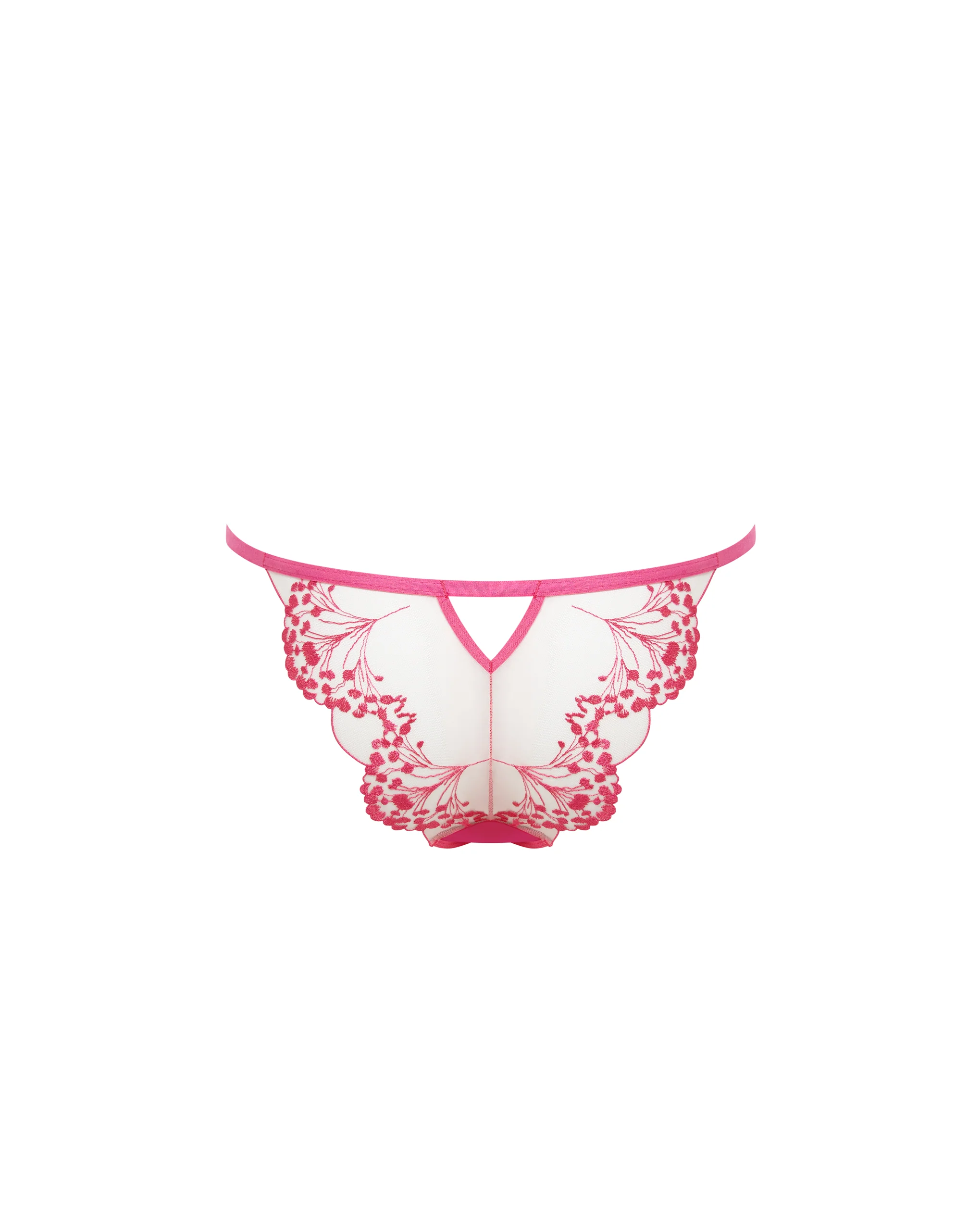 Marisa Brief Fuchsia Pink/Sheer