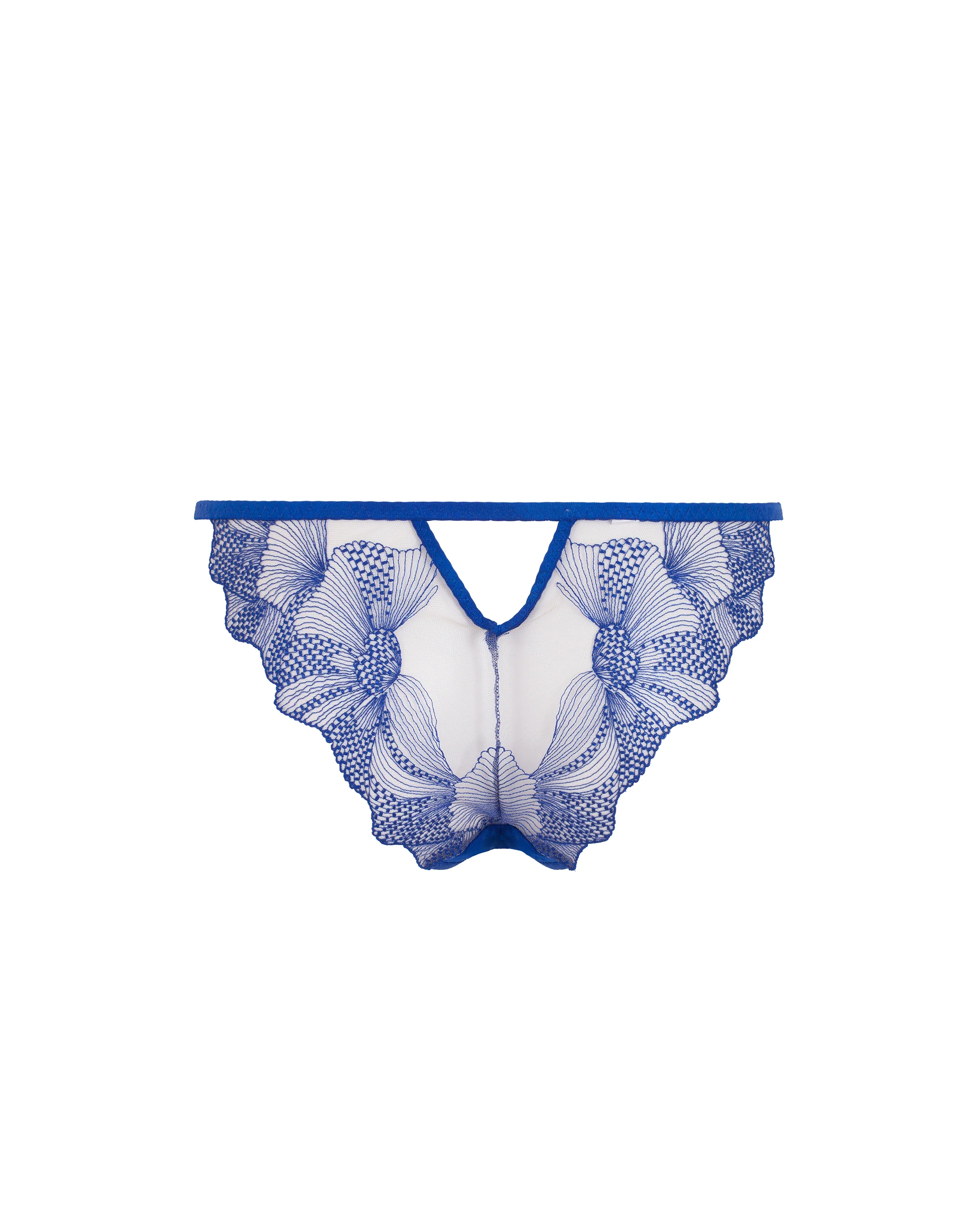 Adeline Brief Sheer/Surf the Web Blue