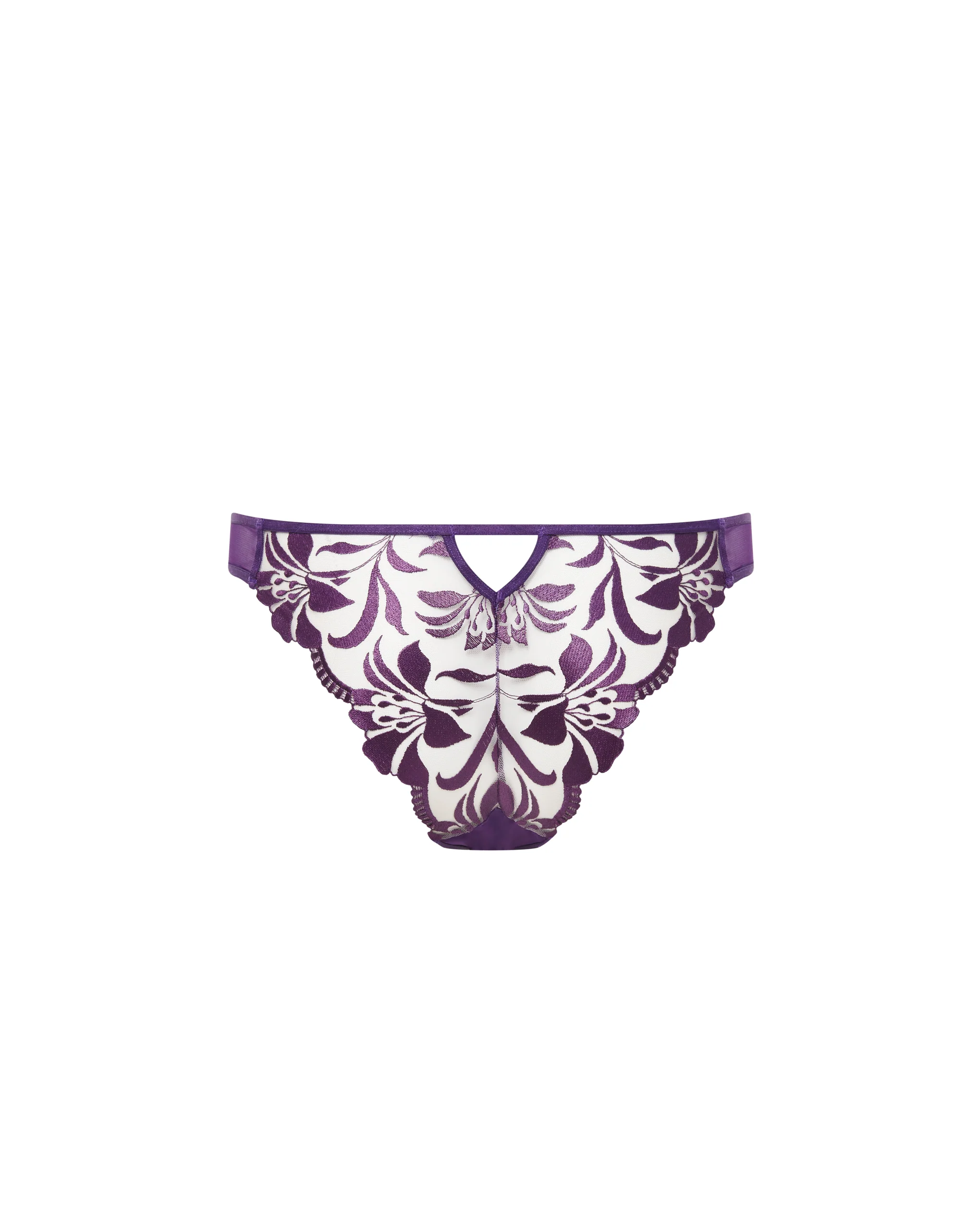 Leonora Brief Acai Purple/Sheer