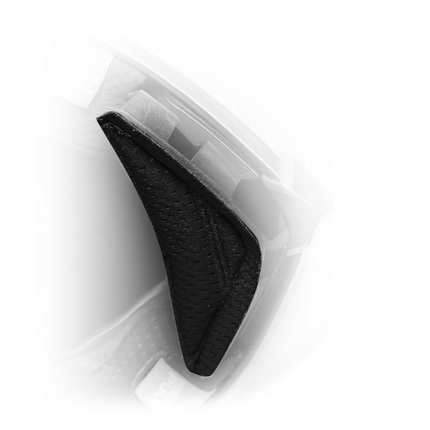 AGV WIND PROTECTOR PISTA GP RR - BLACK