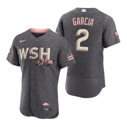 Washington Washington Nationals #2 Luis Garcia Men's Authentic Gray 2022 City Connect Jersey Men's