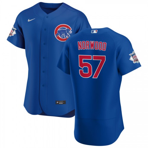 Chicago Chicago Cubs #57 James Norwood Men's Royal Alternate 2020 Authentic Player Jersey Men's