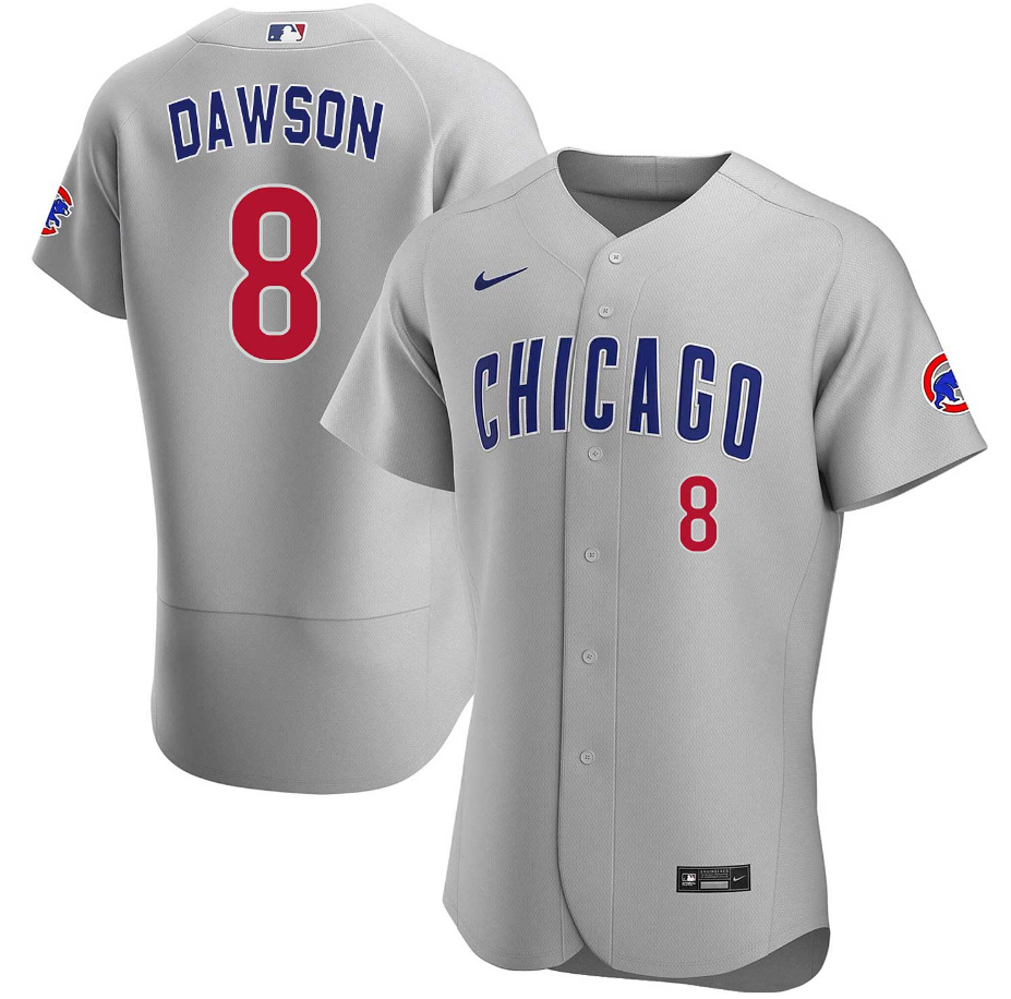 Men's Chicago Chicago Cubs #8 Andre Dawson Gray Road 2020 Authentic Team Jersey
