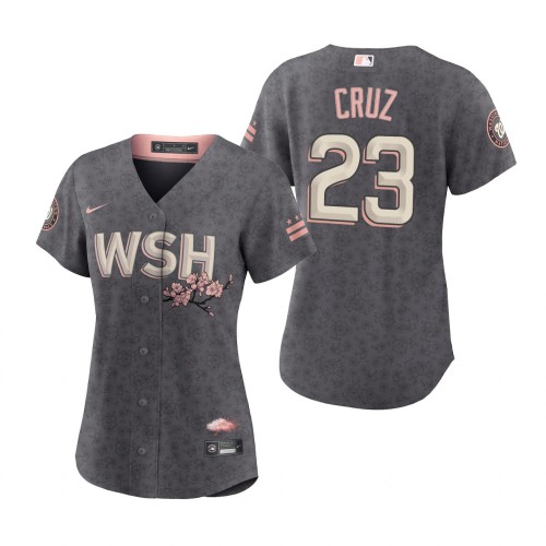 Washington Washington Nationals #23 Nelson Cruz Women's Gray 2022 City Connect Replica Jersey Womens