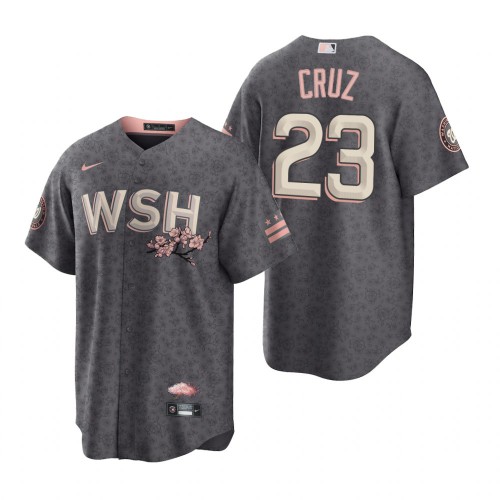 Washington Washington Nationals #23 Nelson Cruz Men's Gray Game 2022 City Connect Replica Jersey Men's