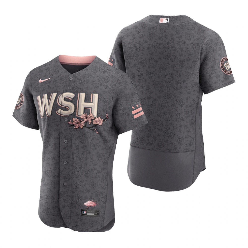Washington Nationals Blank Men's Authentic Gray 2022 City Connect Jersey