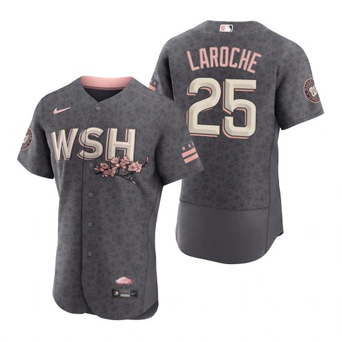 Washington Washington Nationals #25 Adam LaRoche Men's Authentic Gray 2022 City Connect Jersey Men's