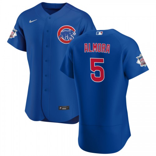 Chicago Chicago Cubs #5 Albert Almora Jr. Men's Royal Alternate 2020 Authentic Player Jersey Men's