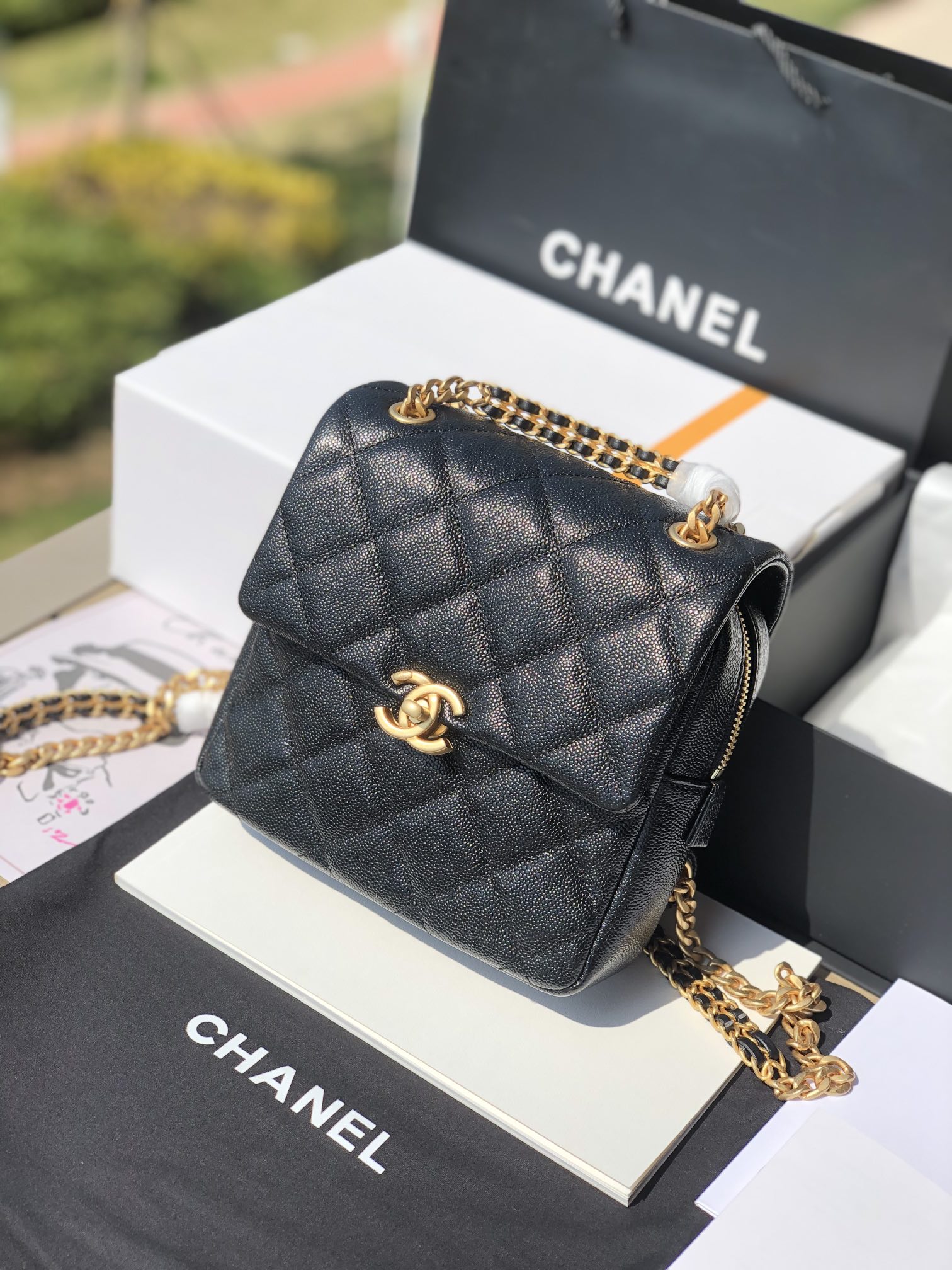 Chanel 165598 Advanced Bag