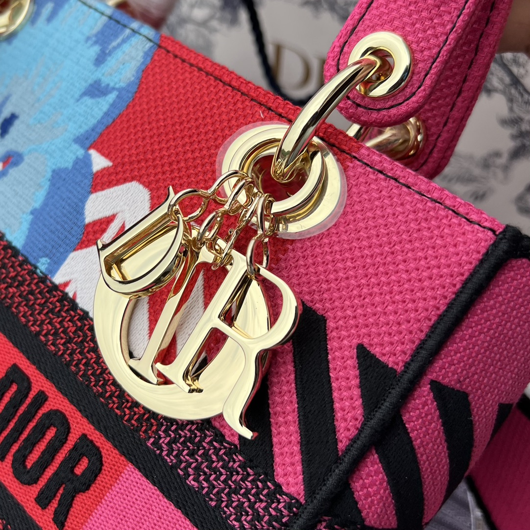 Dior881280898advanced bag