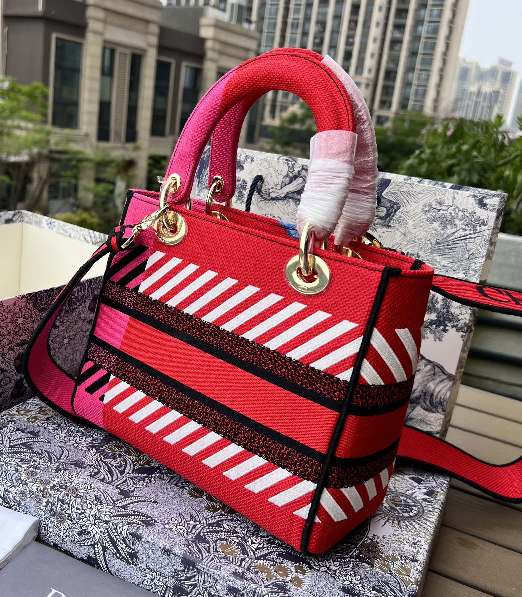 Dior881280898advanced bag