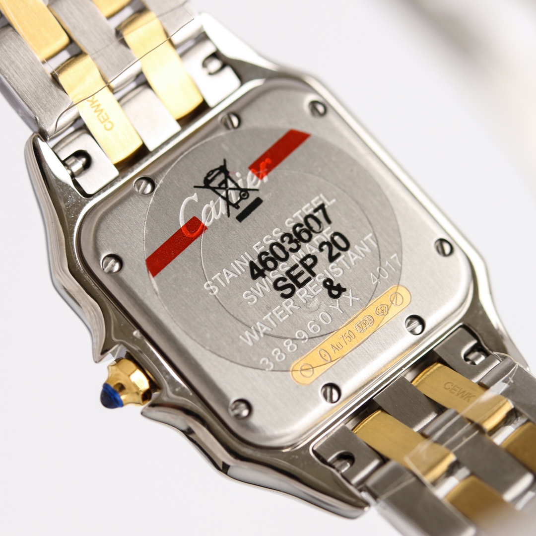 Cartier cheetah Panthère de Cartier.