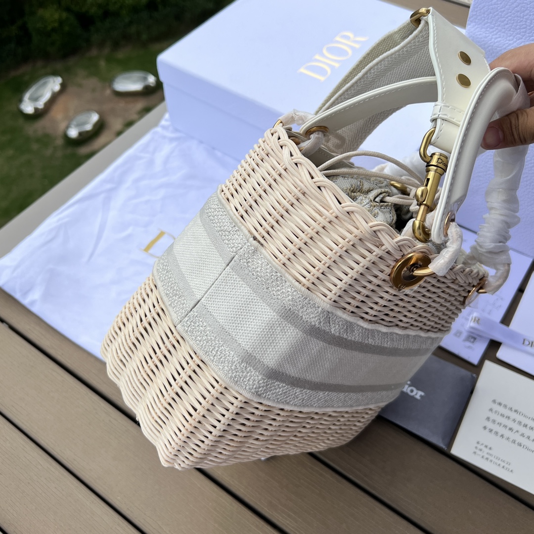 Dior091300898advanced bag