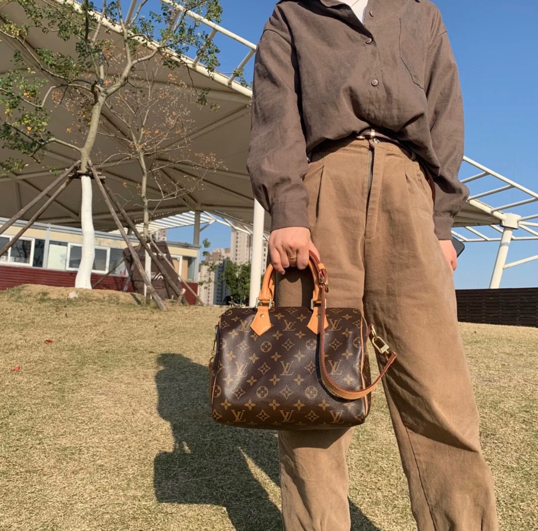 LV163479 bag