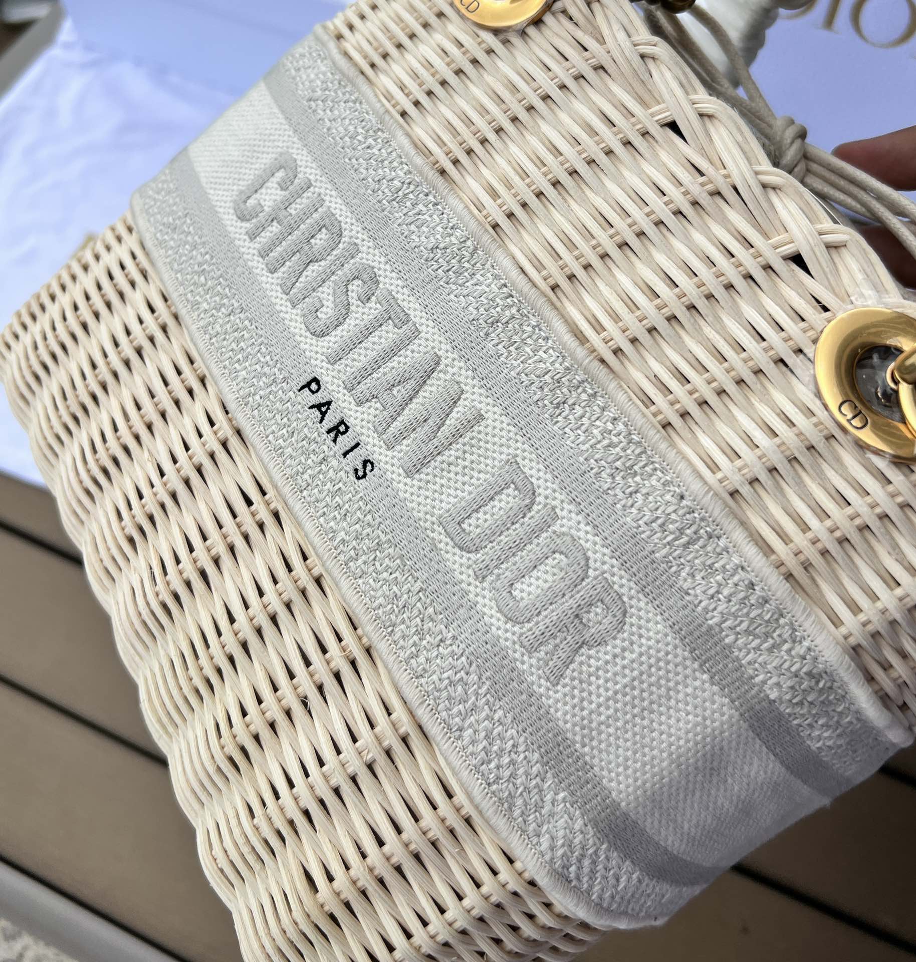 Dior091300898advanced bag