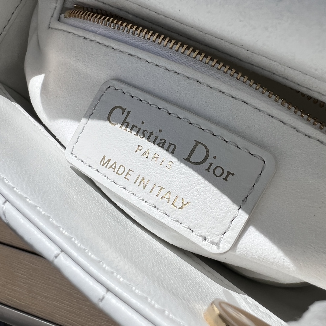 Dior871180898advanced bag