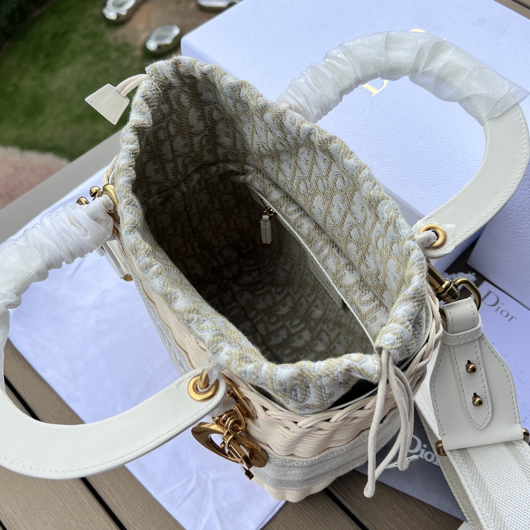 Dior091300898advanced bag