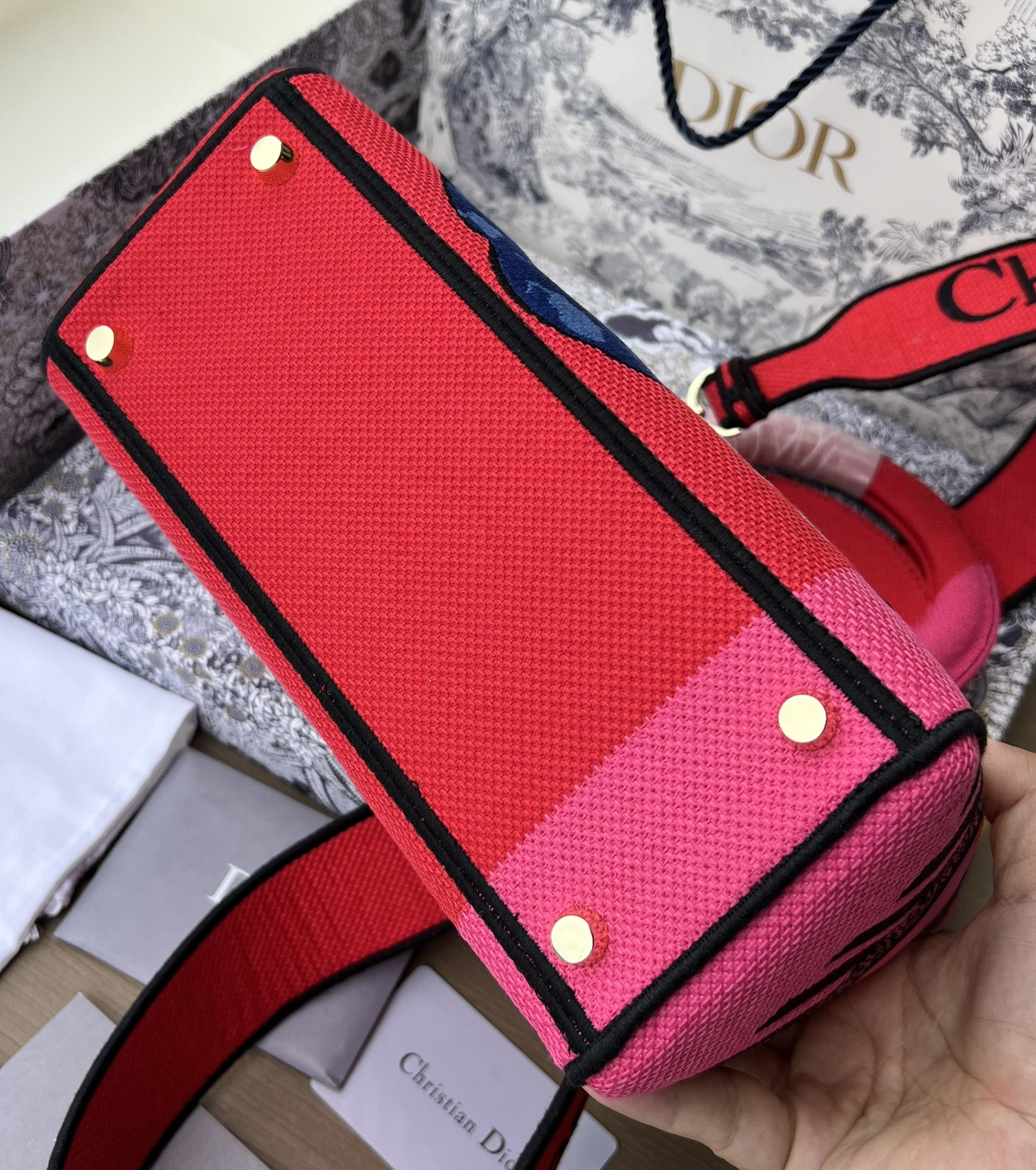 Dior881280898advanced bag