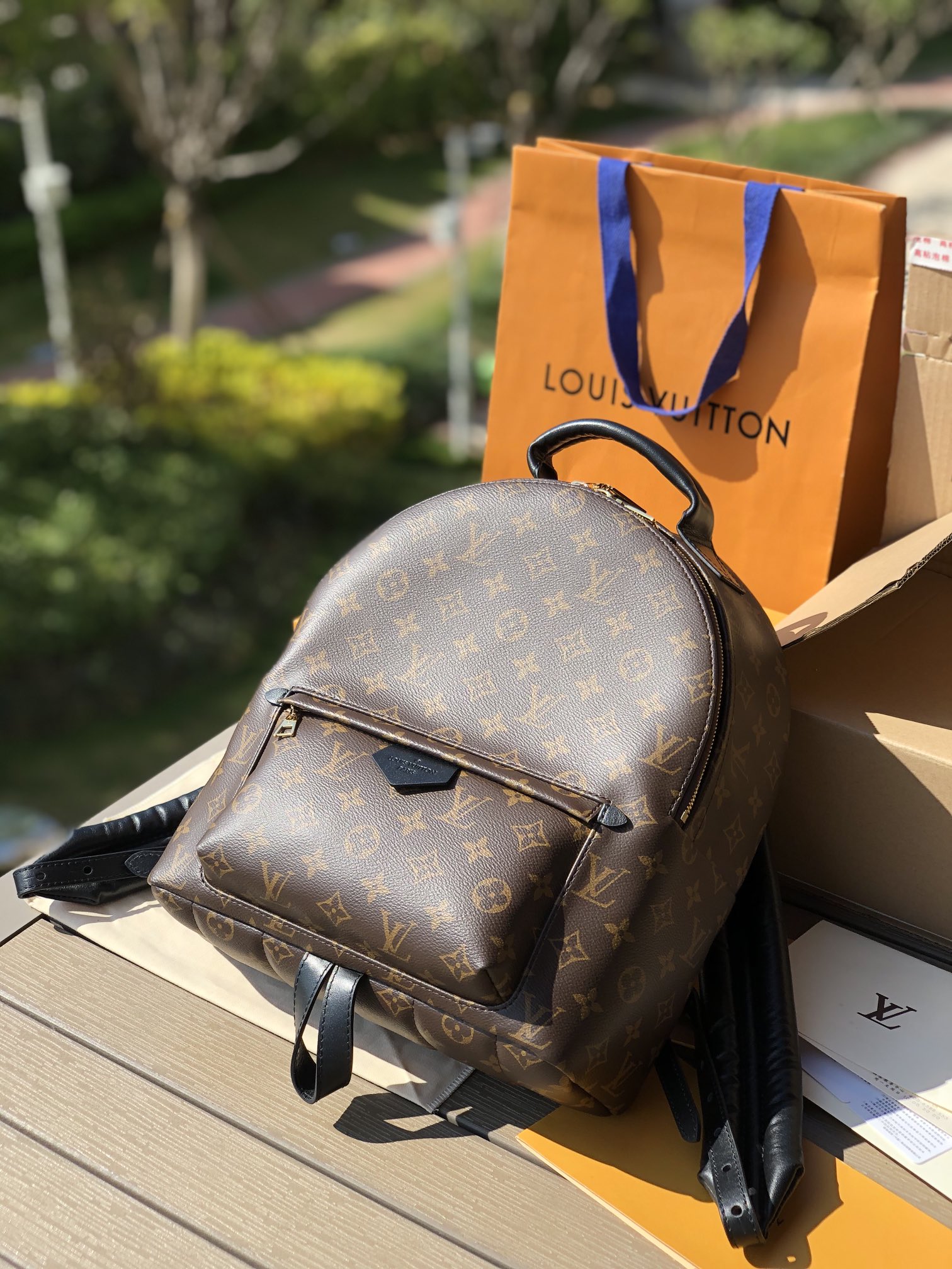 LV164219 travel bag