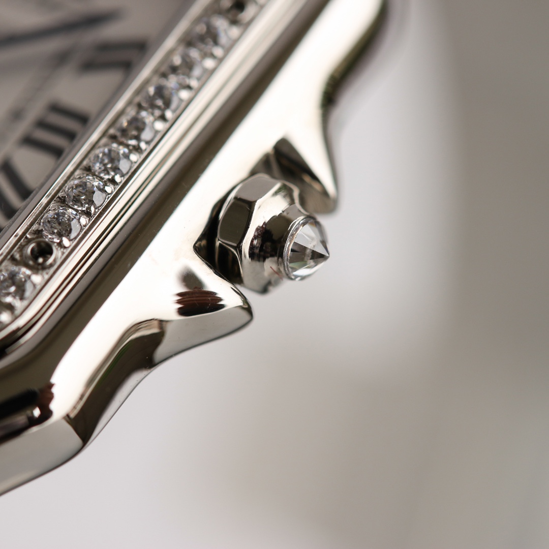 Cartier cheetah Panthère de Cartier.