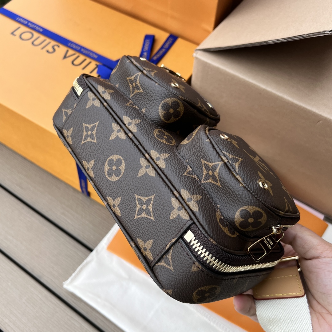 LV165011 bag