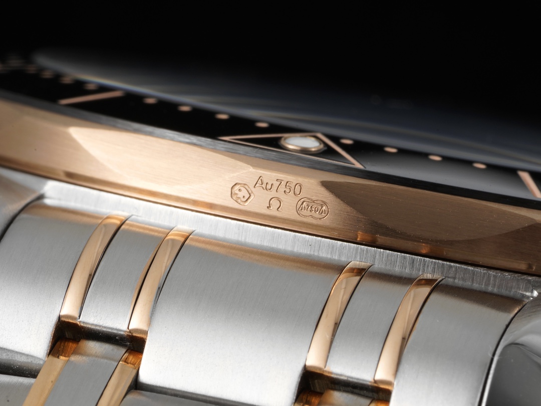 Omega SEAMASTER Seamaster Planet Ocean 210.30.42.20.01.001