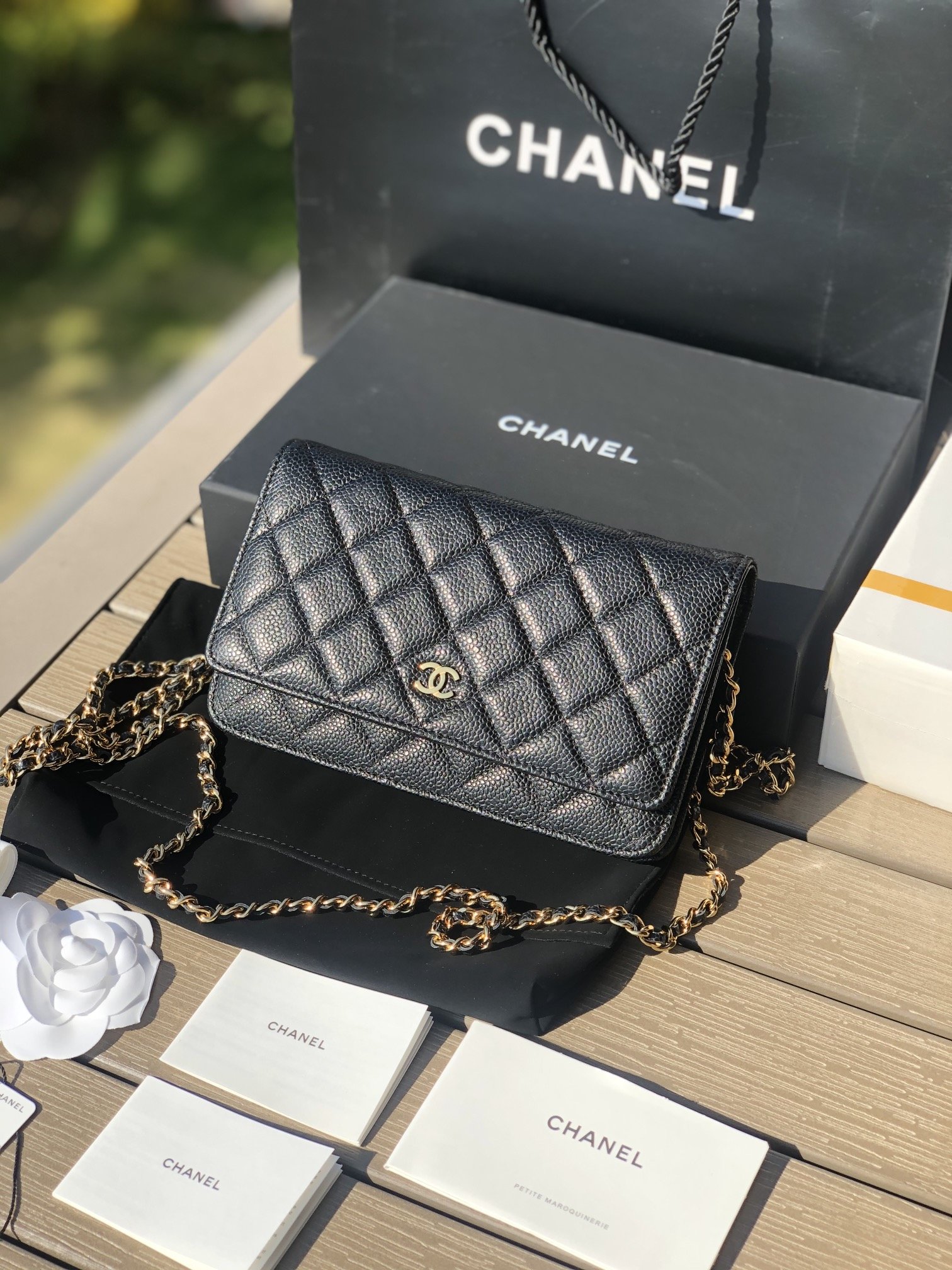Chanel 165120 bag