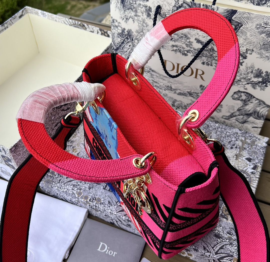 Dior881280898advanced bag