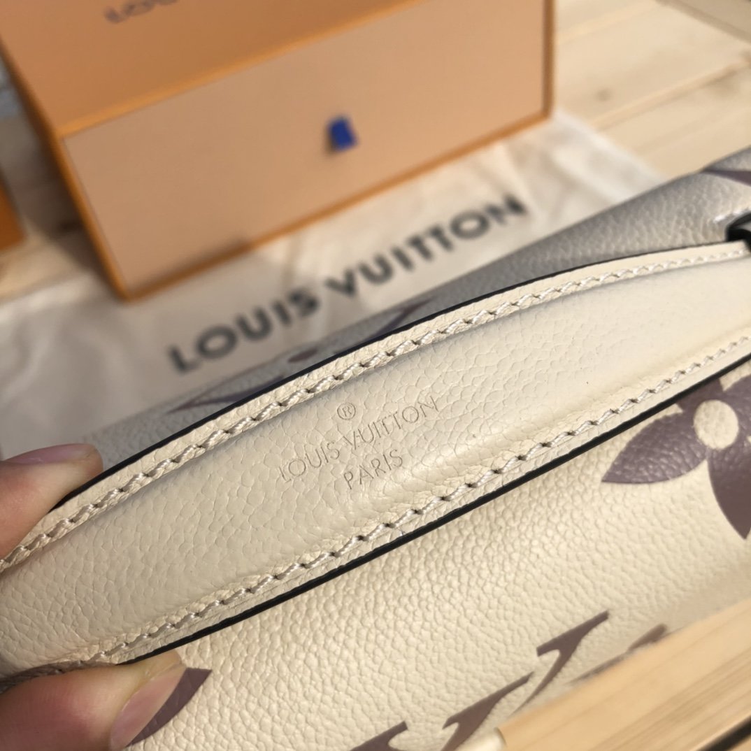LV 163825 bag