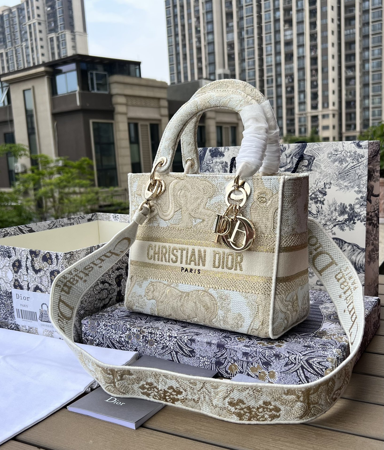 Dior881280898advanced bag