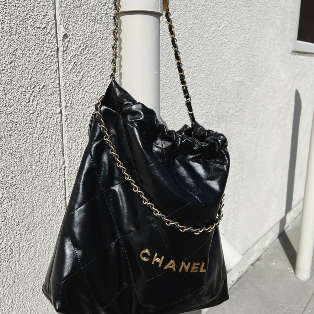 Chanel 165049 bag