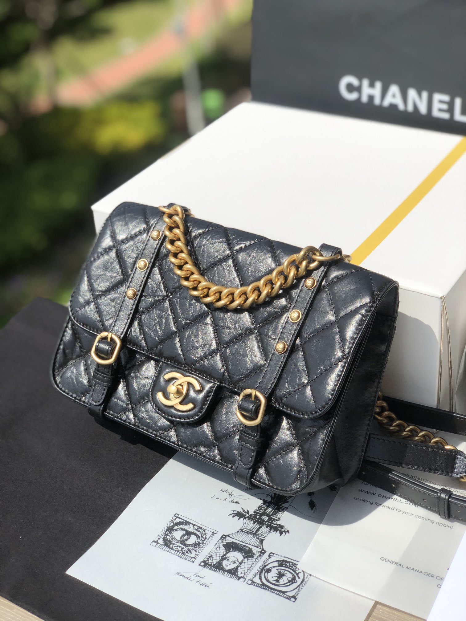 Chanel 165189 bag