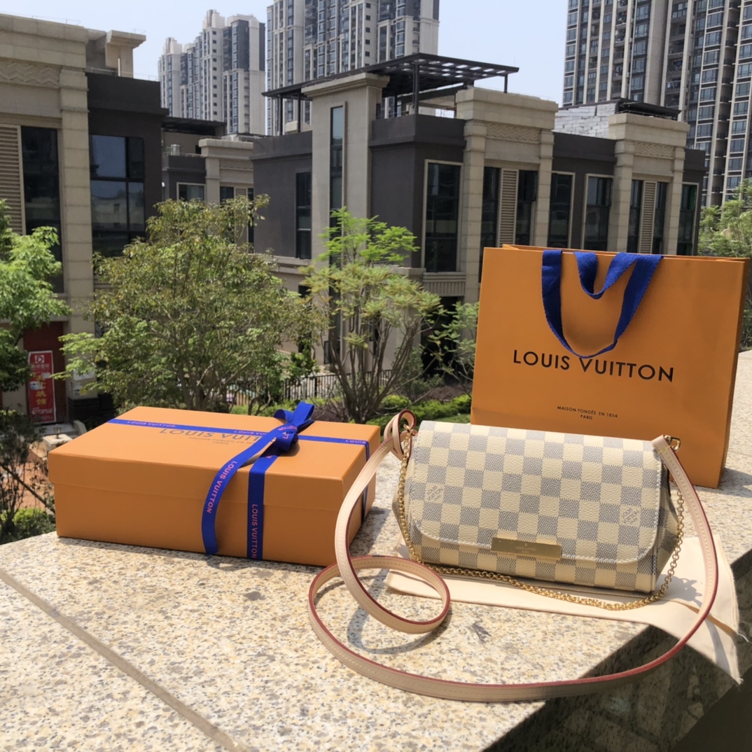 LV164572 bag