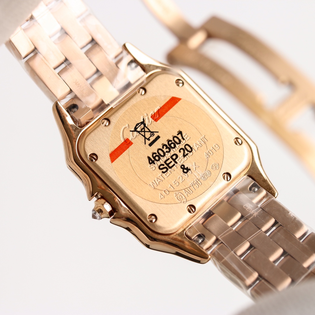 Cartier cheetah Panthère de Cartier.