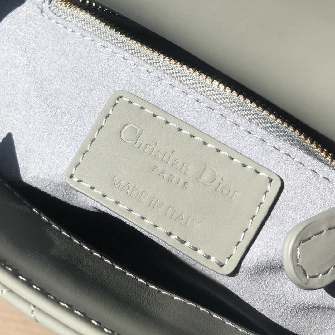 Dior571180898advanced bag