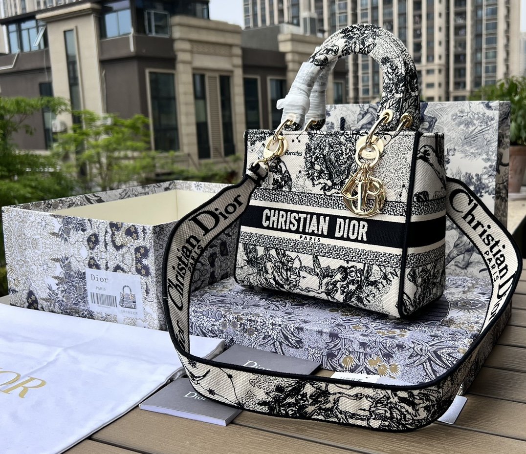 Dior881280898advanced bag