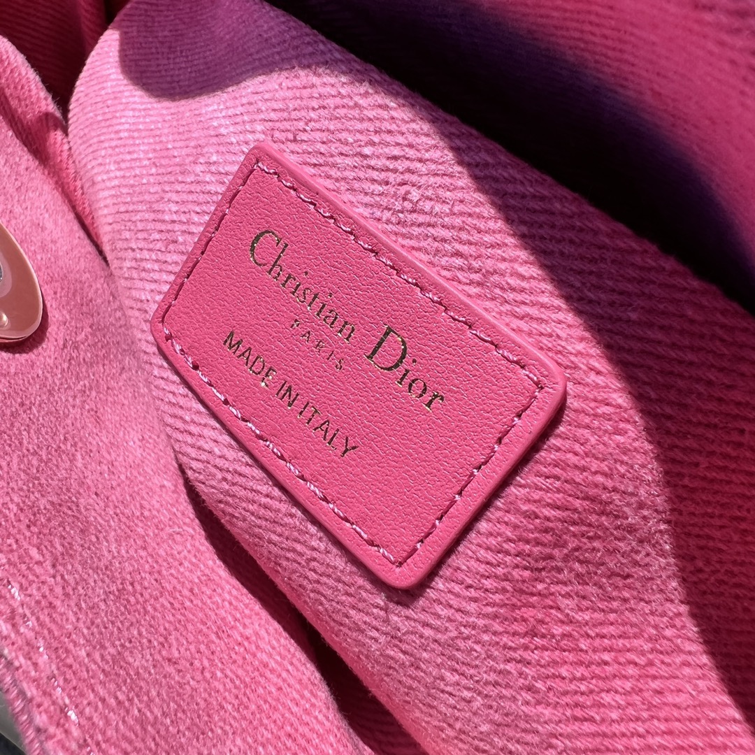 Dior581250898advanced bag