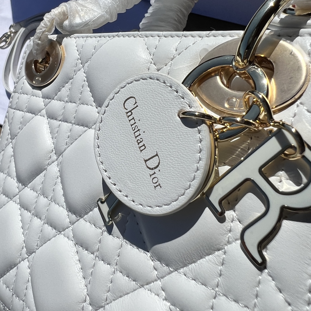 Dior871180898advanced bag