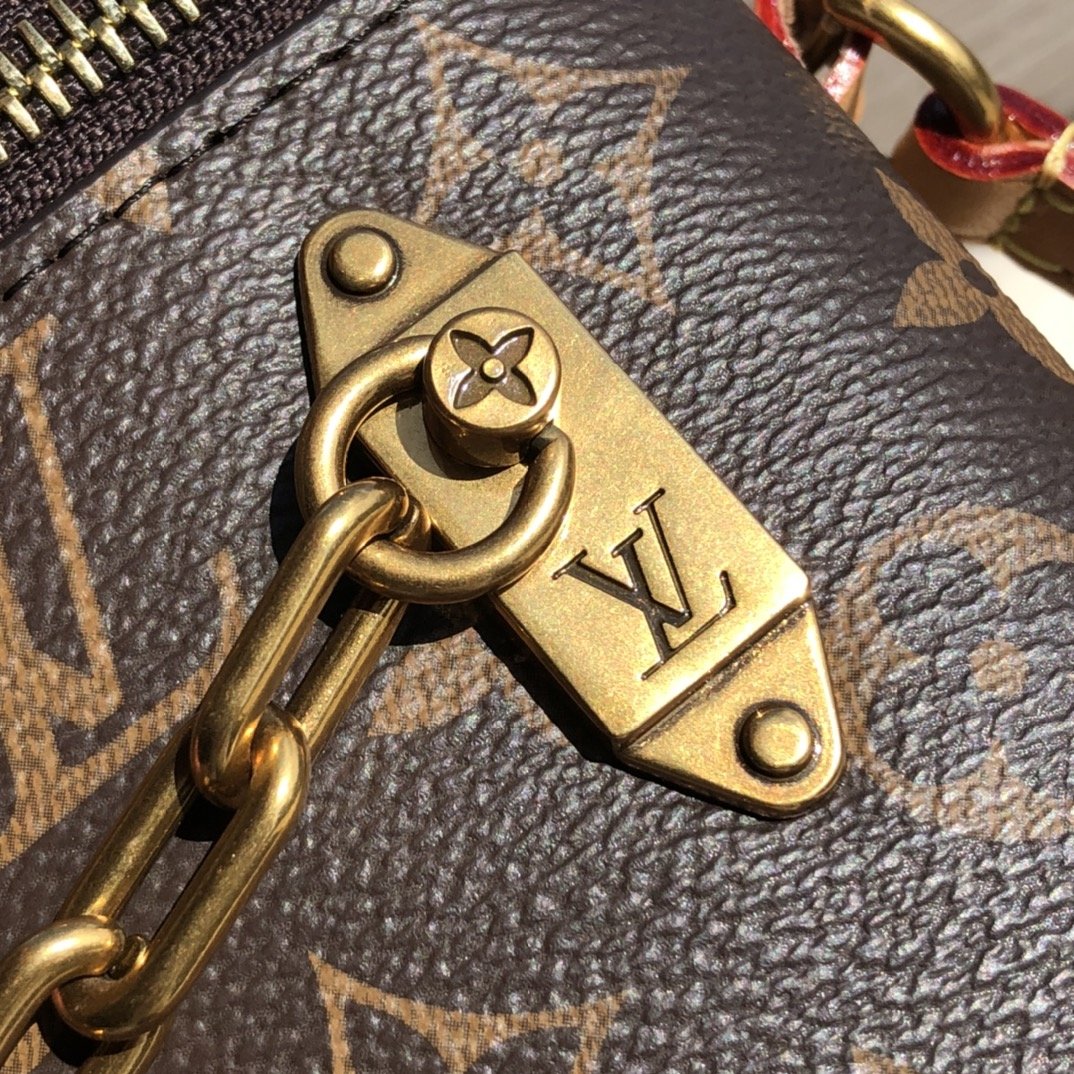 LV163692 bag