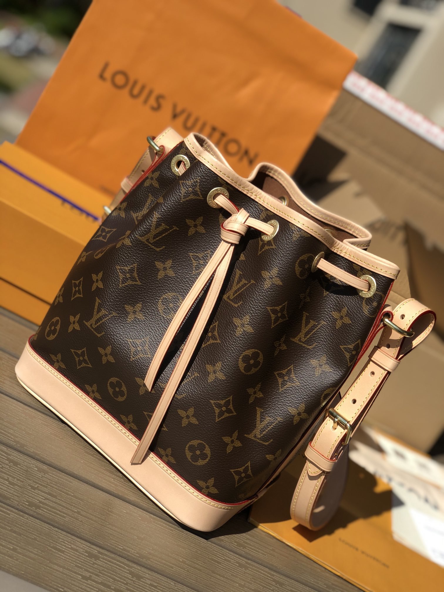 LV 163972 bag