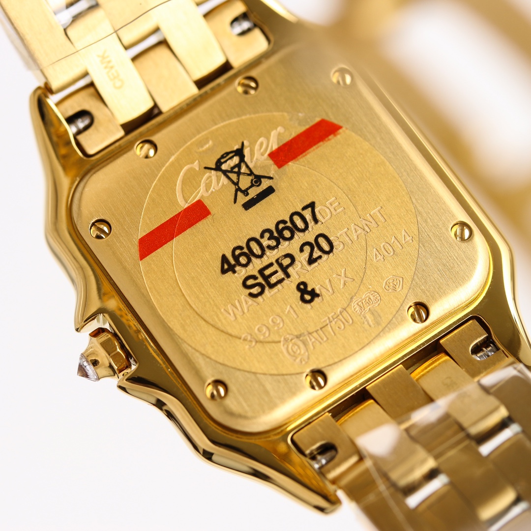 Cartier cheetah Panthère de Cartier.