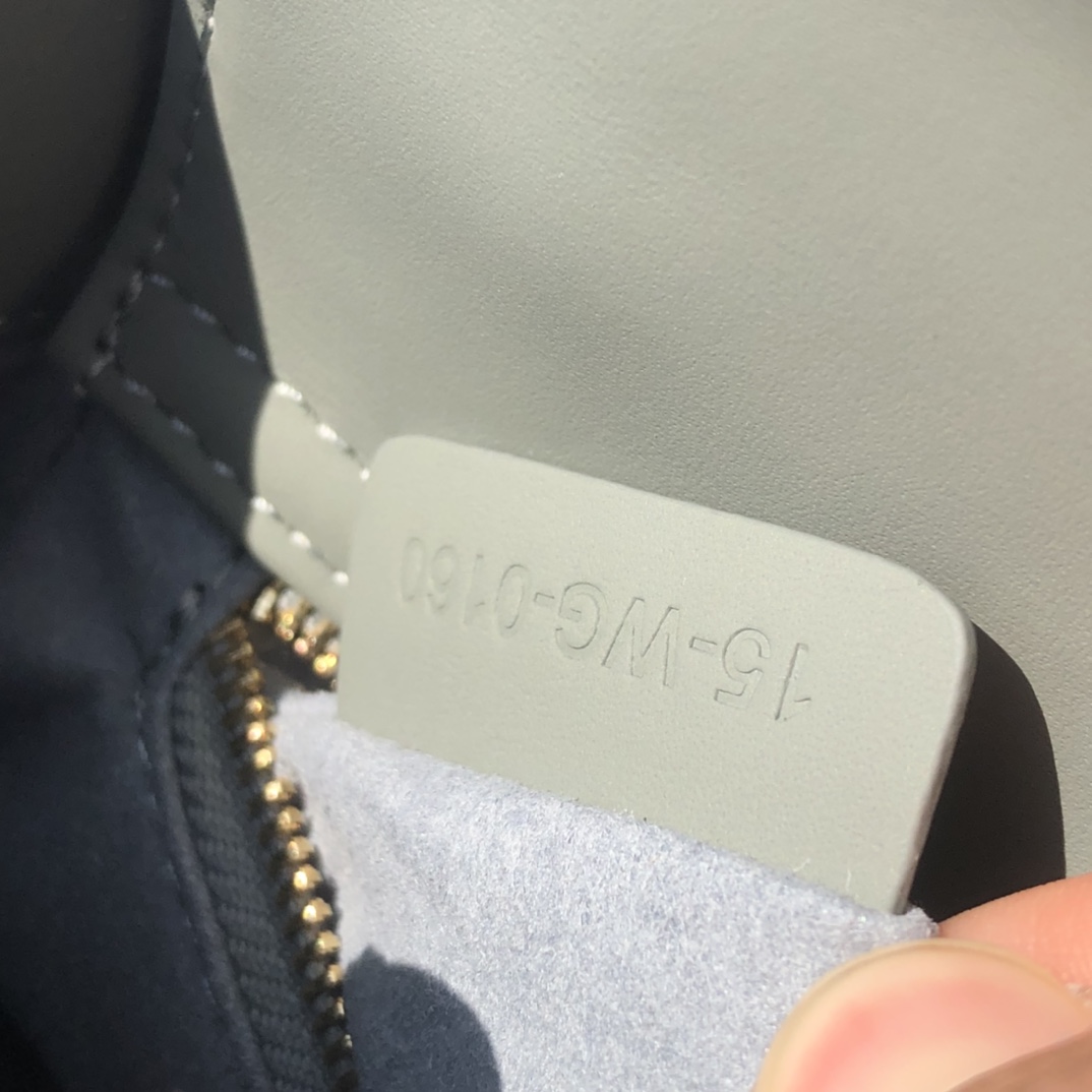 Dior571180898advanced bag