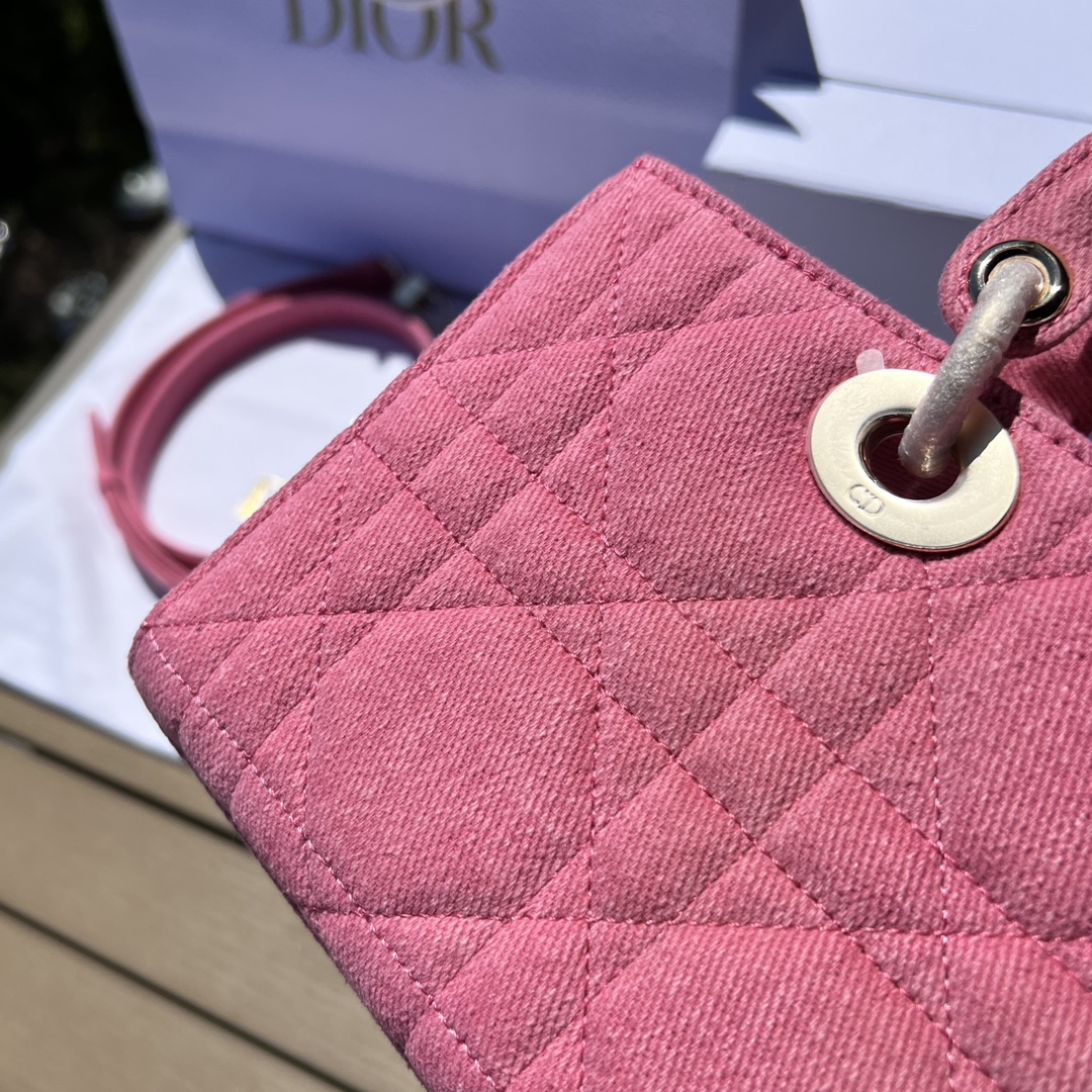 Dior581250898advanced bag