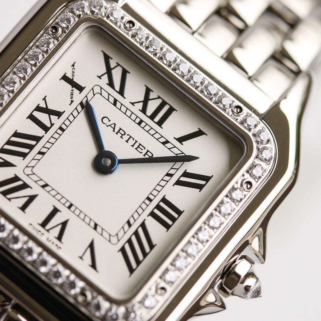 Cartier cheetah Panthère de Cartier.