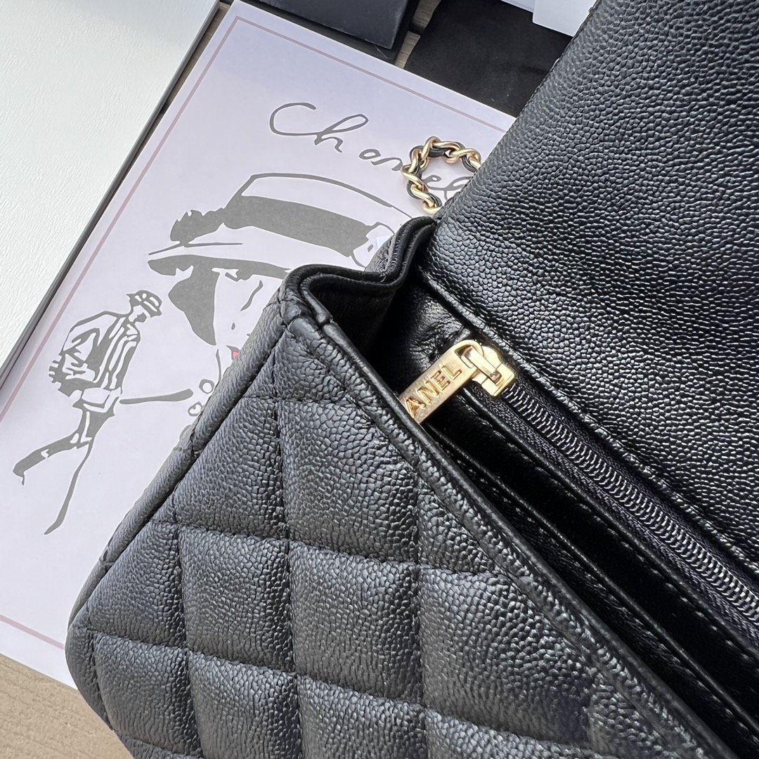 Chanel 165558 Advanced Bag