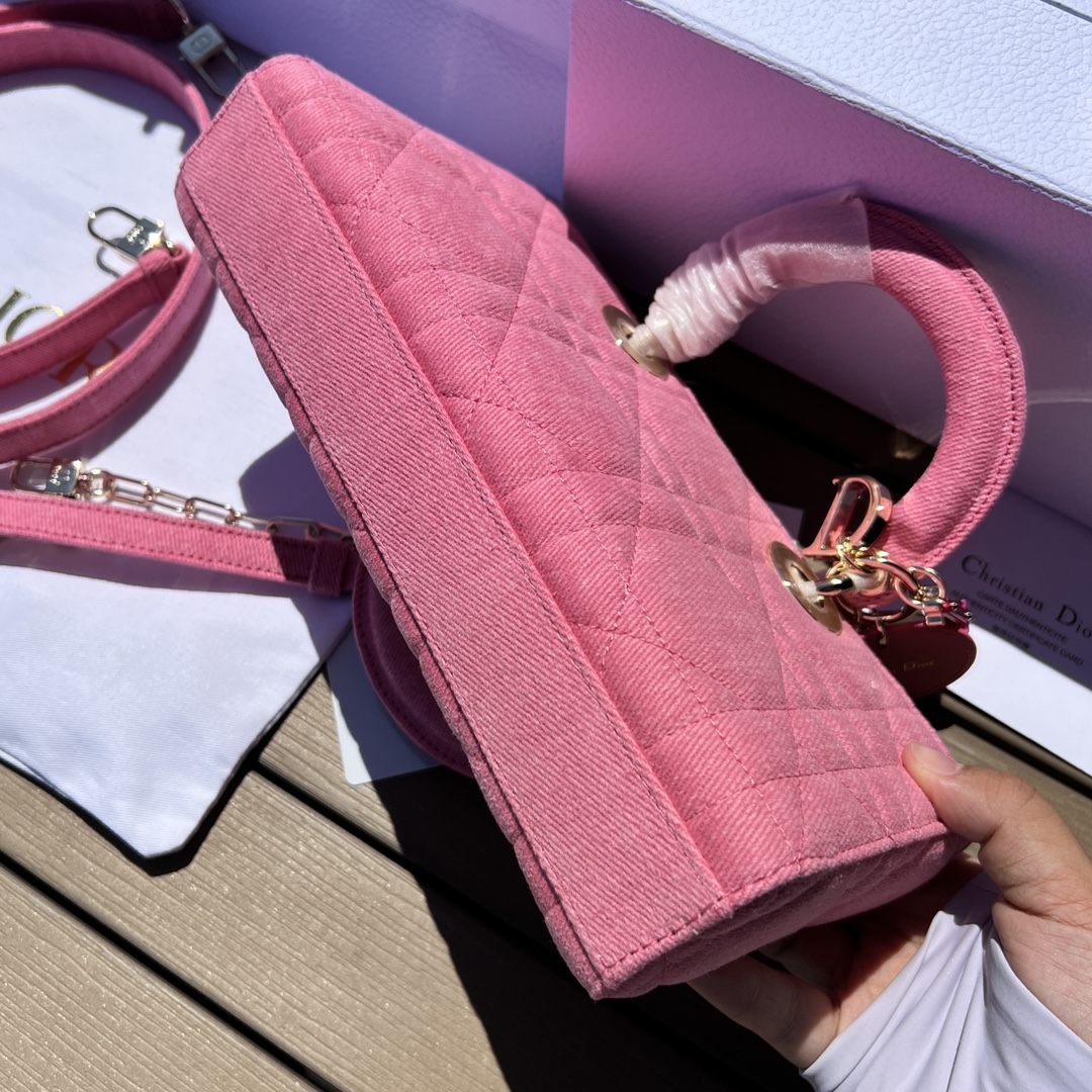 Dior581250898advanced bag