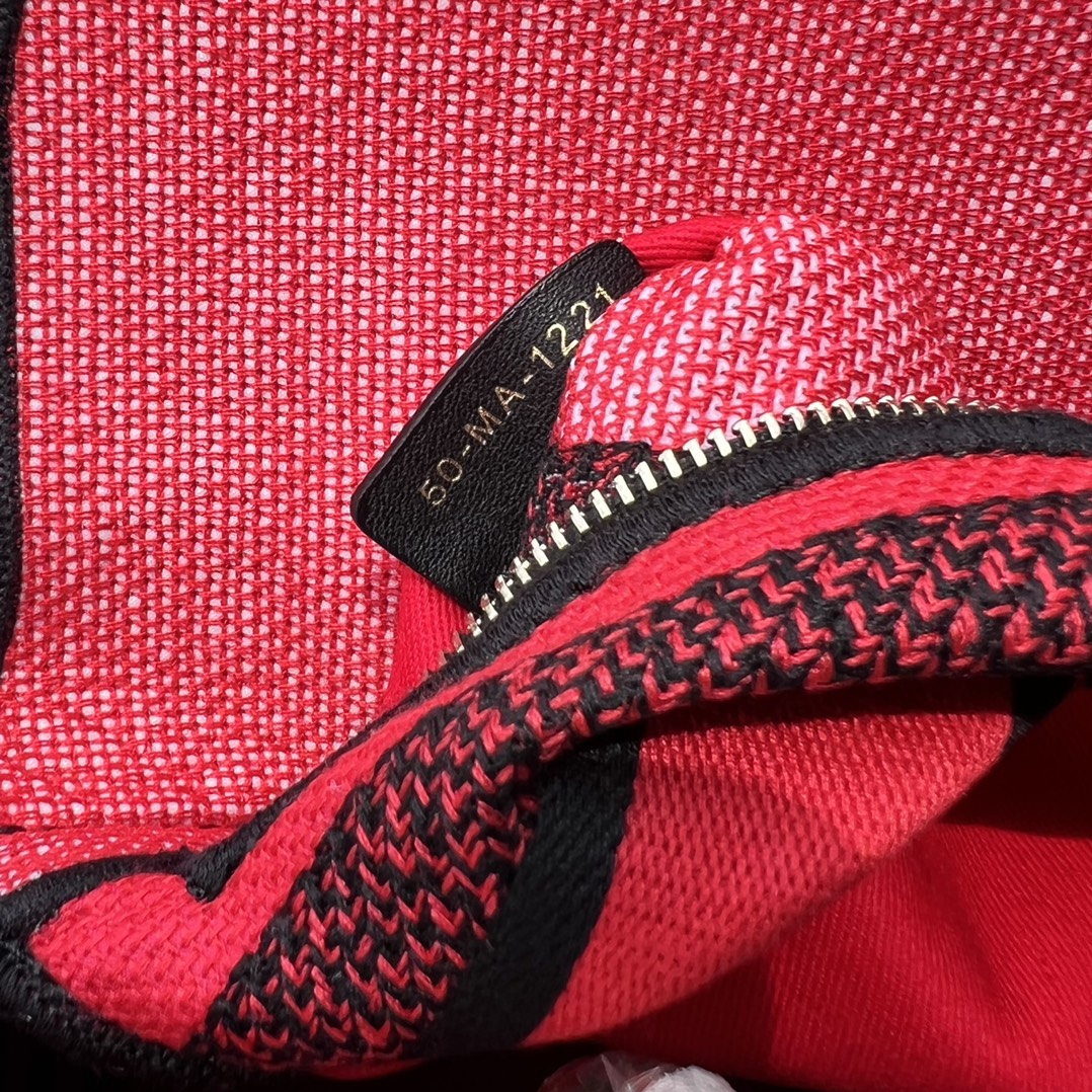 Dior881280898advanced bag