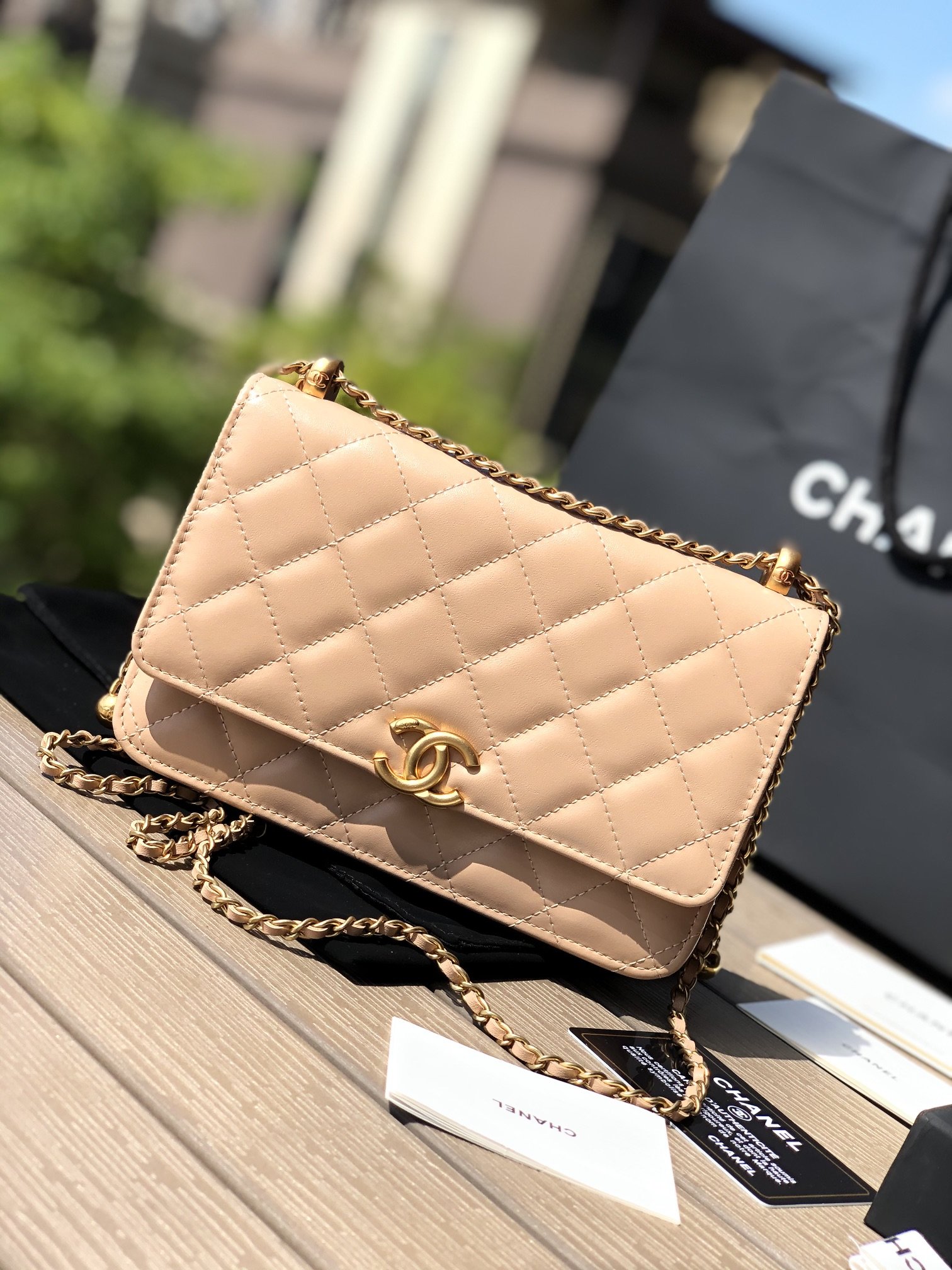 Chanel 165240 bag