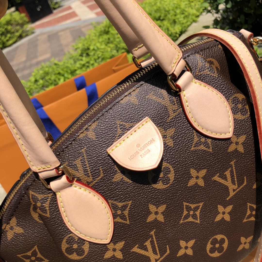 LV164507 bag