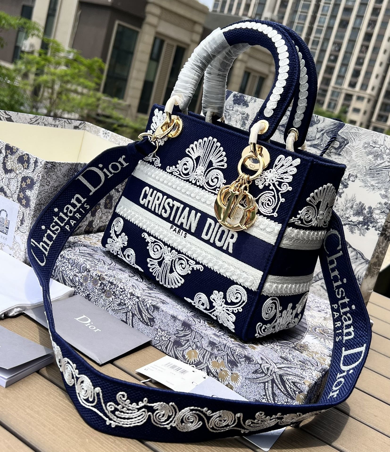 Dior881280898advanced bag